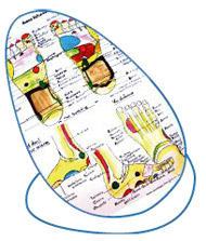 définition et but de la réflexologie plantaire